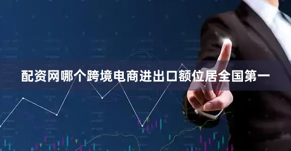 配资网哪个跨境电商进出口额位居全国第一