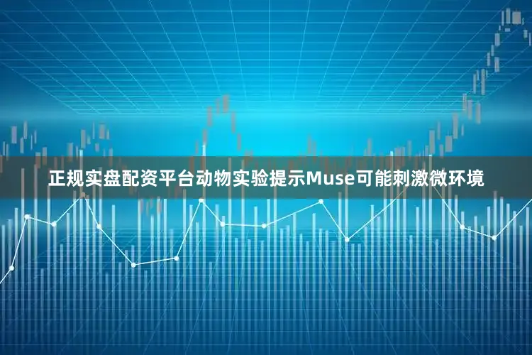 正规实盘配资平台动物实验提示Muse可能刺激微环境