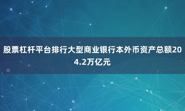 股票杠杆平台排行大型商业银行本外币资产总额204.2万亿元
