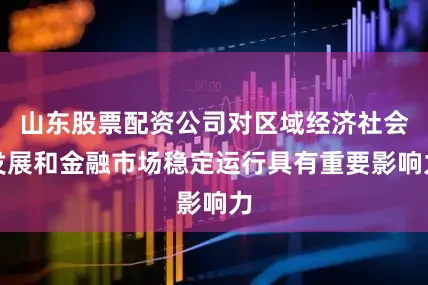 山东股票配资公司对区域经济社会发展和金融市场稳定运行具有重要影响力
